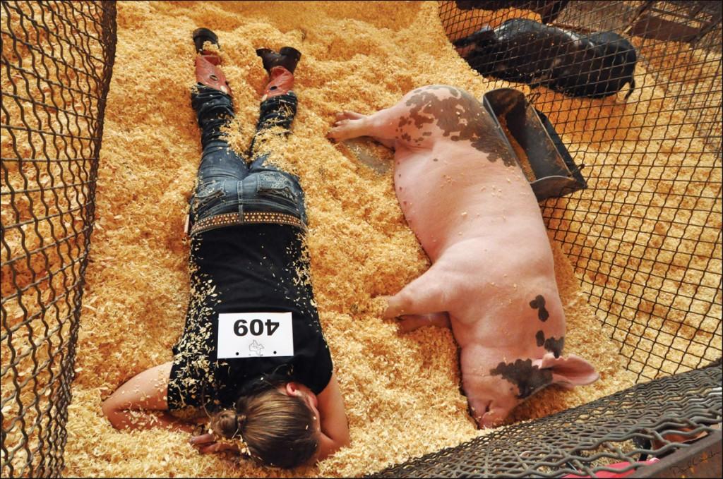 Paul Lauder’s winning photograph features a child napping with her show pig after a long day of competing.