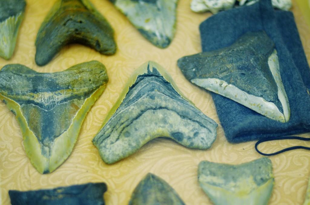 Ancient megalodon teeth are displayed in a case by teacher and vendor Wesley Kirpach