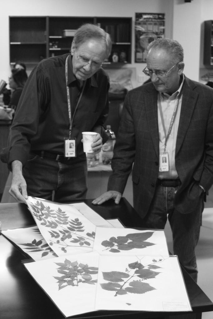 Professor Phil Shelp and Malone look at traditional botanical specimens.