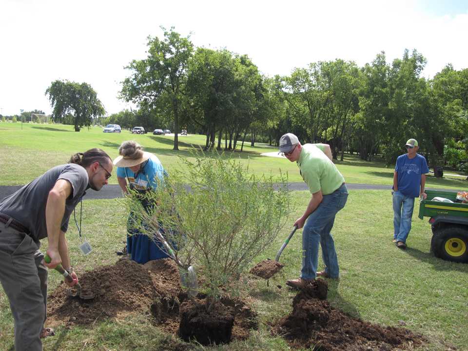 Photo by Jake Griffin Thom Chesney, Brookhaven College president, assists two Brookhaveans planting a tree during the Arbor Day Celebration. 