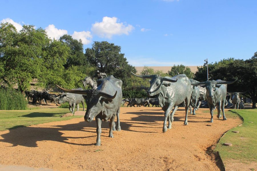 Photo of sculpture “The Dallas Cattle Drive” by Robert Summers