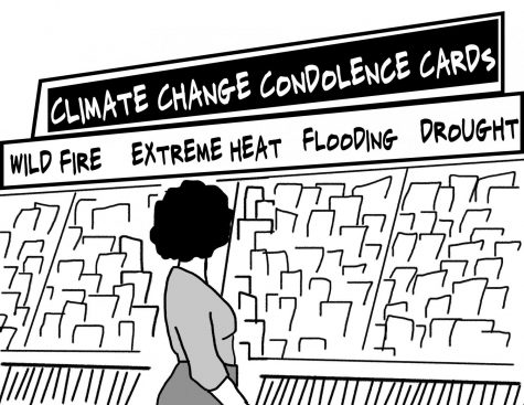 Illustration of someone in greeting card aisle with new climate change condolence cards