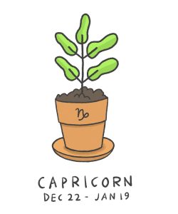 Capricorn illustration
