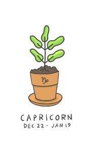 Capricorn illustration