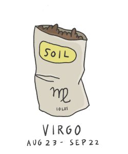 Virgo illustration