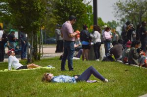 People lay in grass and look at eclipse.