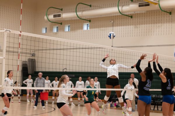 Women with the Bears #7 spiking the ball and opponents attempting to block the ball.