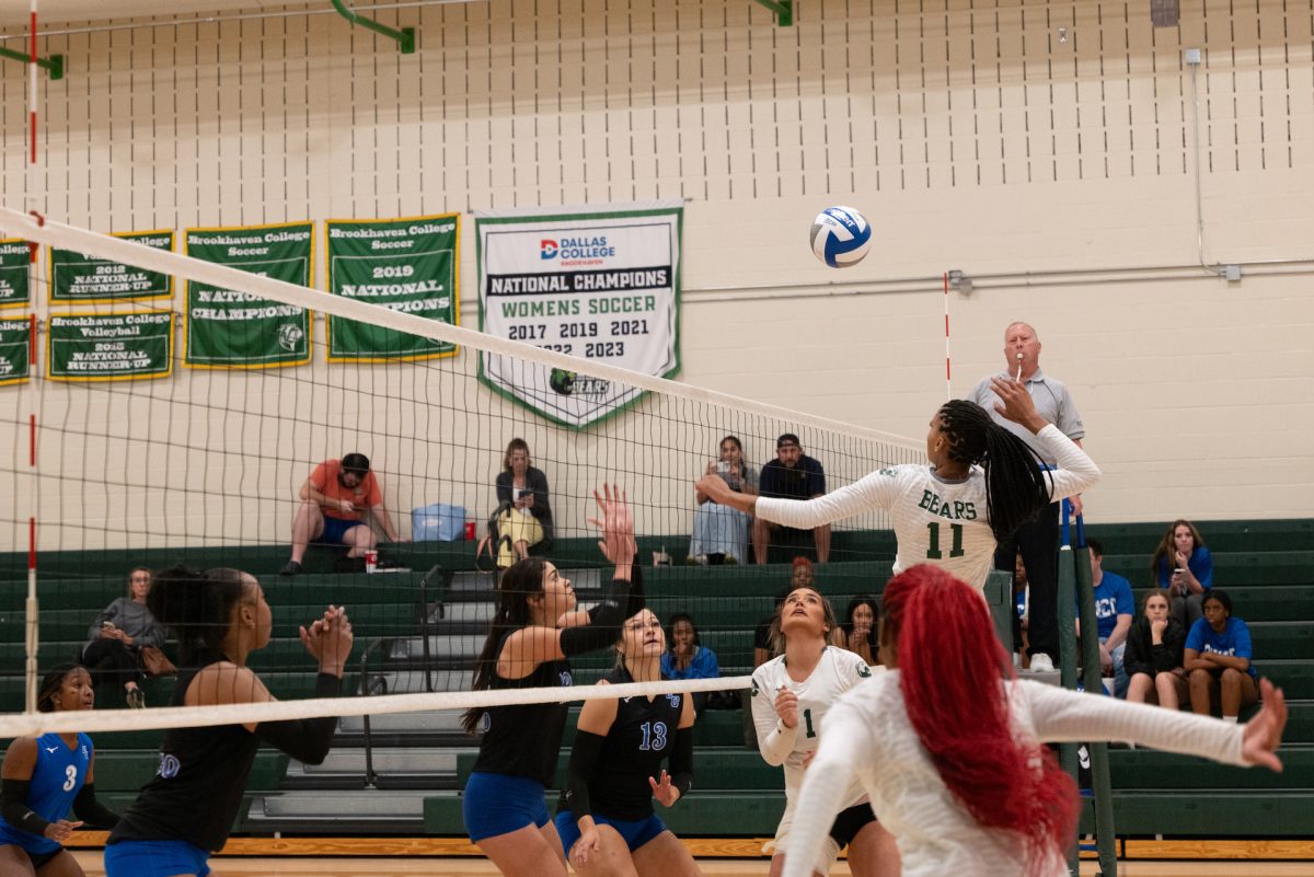 Women with the Bears #7 spiking the ball and opponents attempting to block the ball.