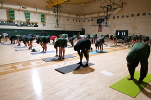 People reaching their toes on a yoga mat. 