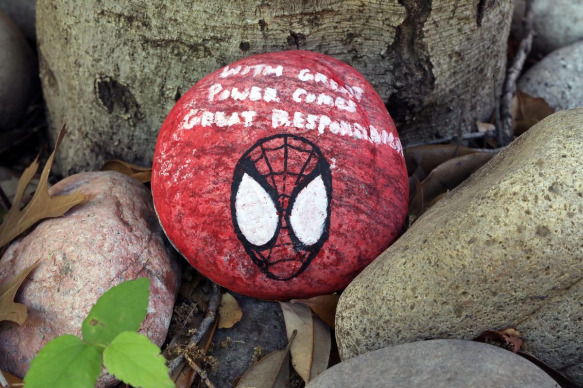 Spider-man rock