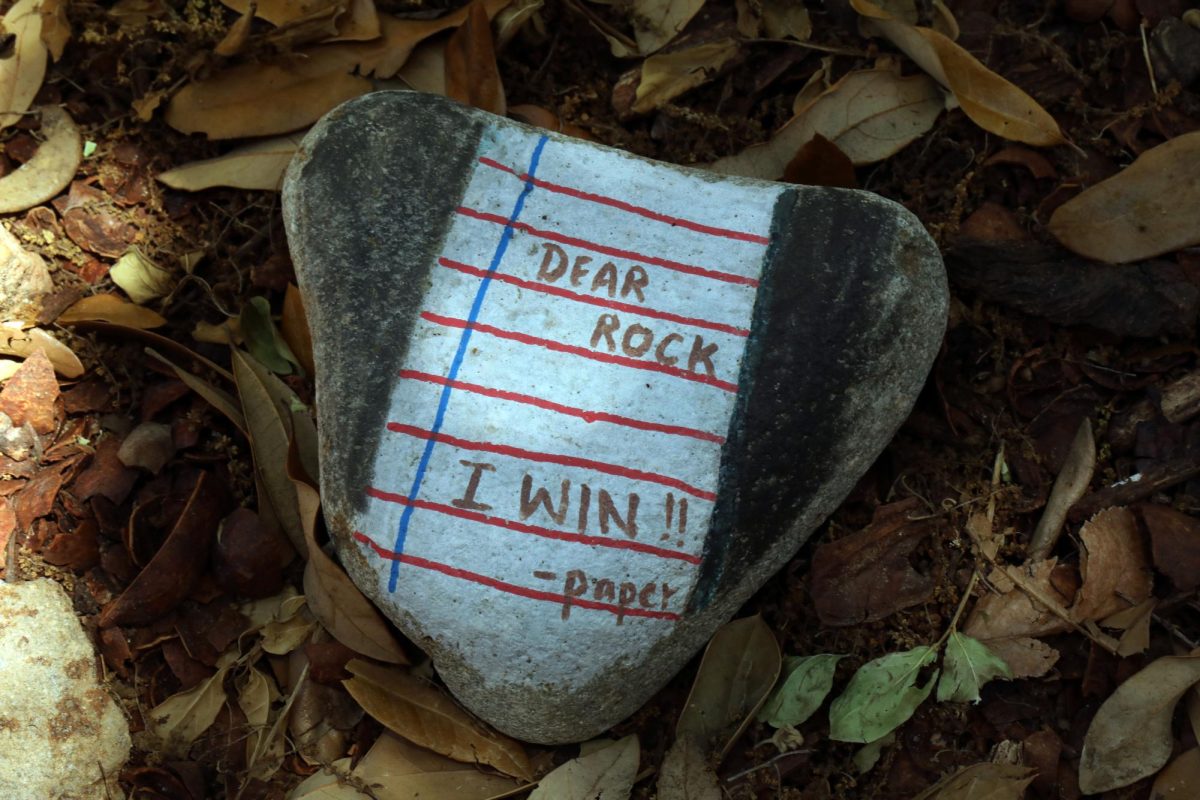 Dear Rock, I win!! - Paper