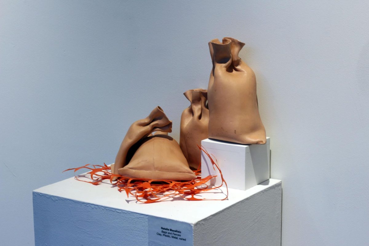 Natalie Macellaio, Bags and Fences