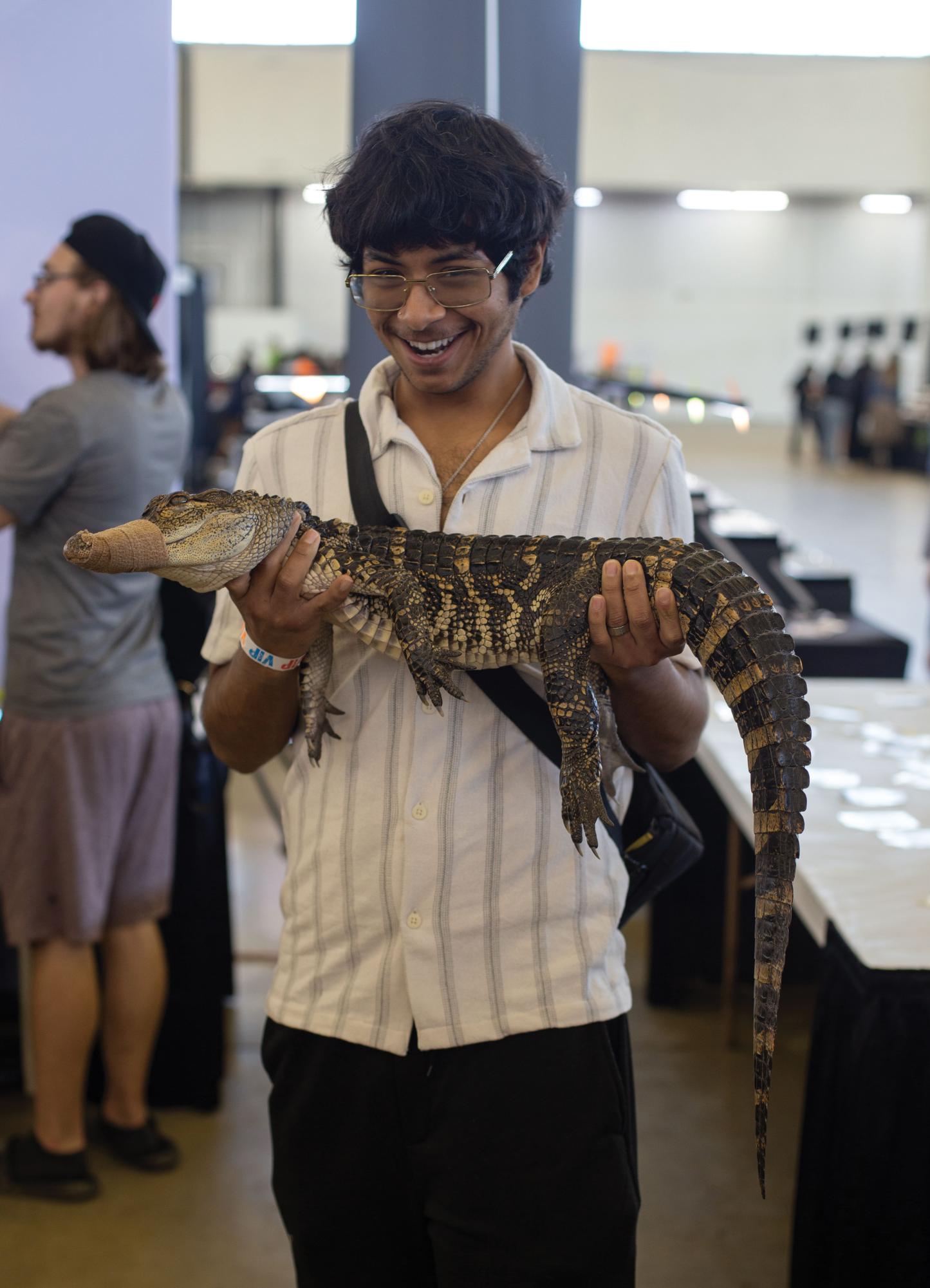 An attendee poses for a picture with a juvenile American alligator, one of several owned by Klondike Kid Exotics founder Jake Butler.