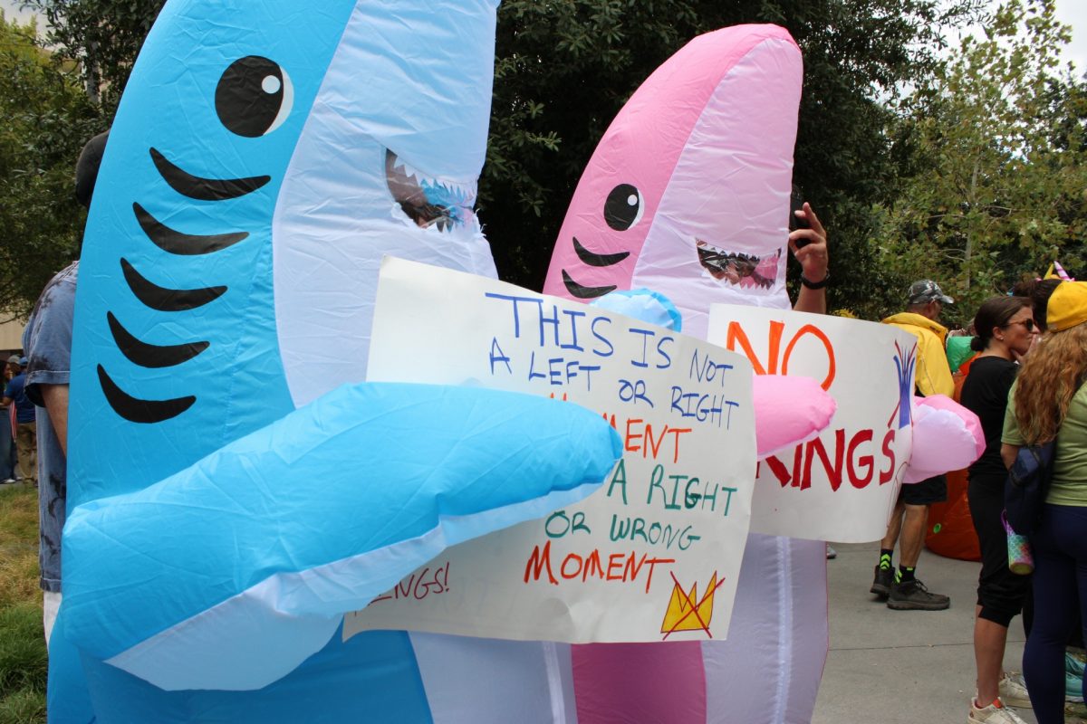 Two protestors dressed as sharks in Dallas. 