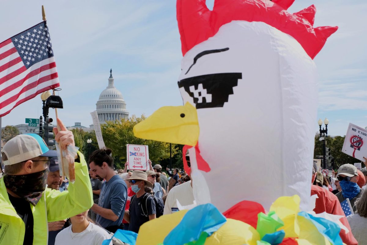 Protestor in a chicken costume marches in front of the White House