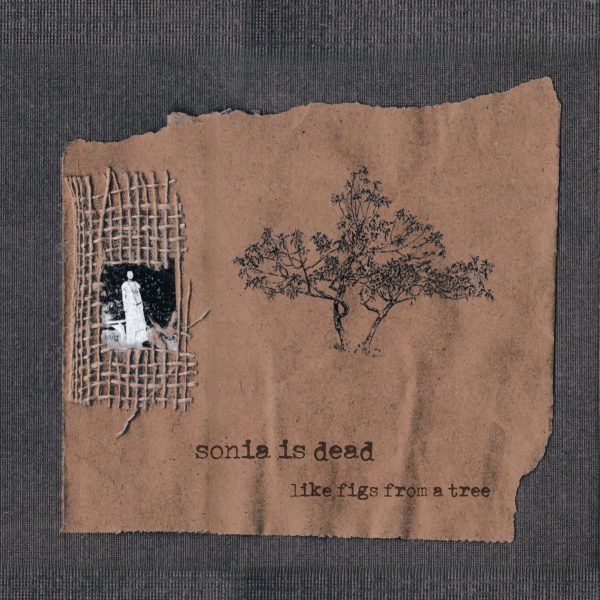 Album cover of 'like figs from a tree' by sonia is dead.
Release date: Dec. 28, 2025
