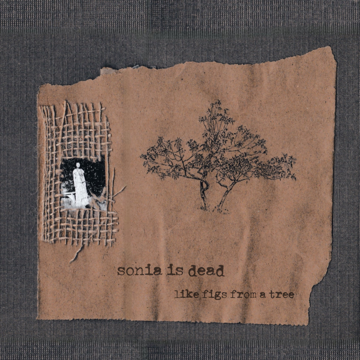 Album cover of 'like figs from a tree' by sonia is dead.
Release date: Dec. 28, 2025
