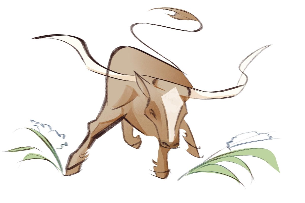 Illustration by Isabel Velazquez